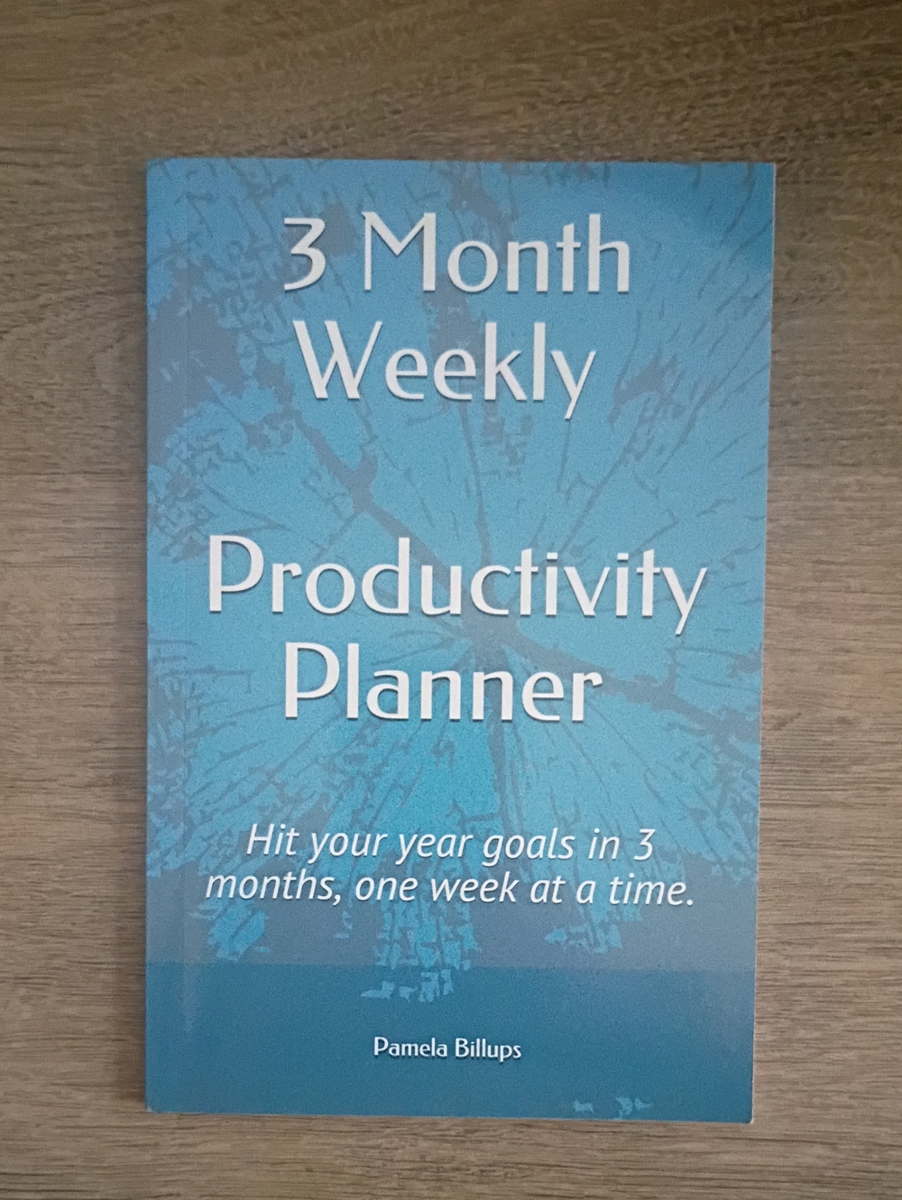3 Month Weekly Productivity Planner - Blue